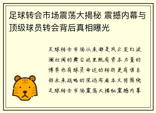 足球转会市场震荡大揭秘 震撼内幕与顶级球员转会背后真相曝光