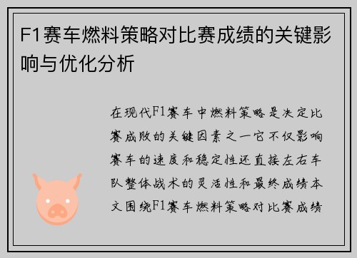 F1赛车燃料策略对比赛成绩的关键影响与优化分析